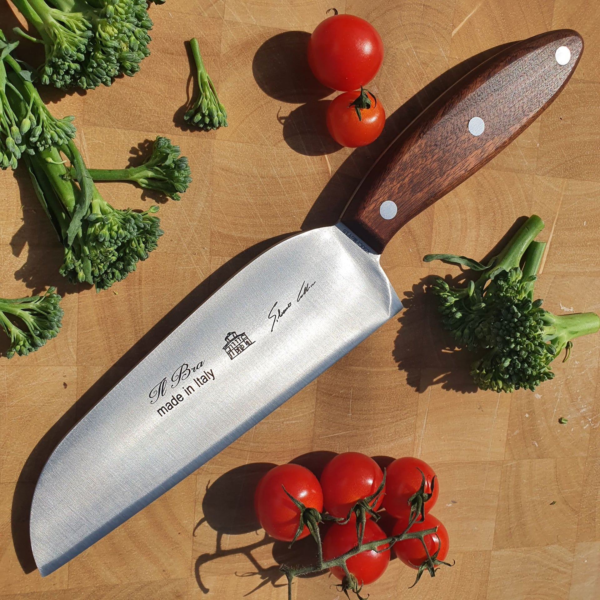 Curved Paring Knife (Mogano) – The Forge Dubai